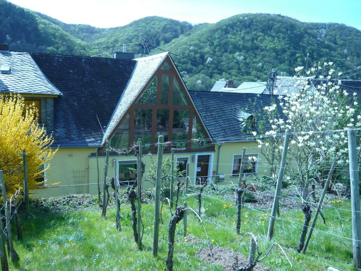 Pension Am Weinberg Mesenich Bagian luar foto