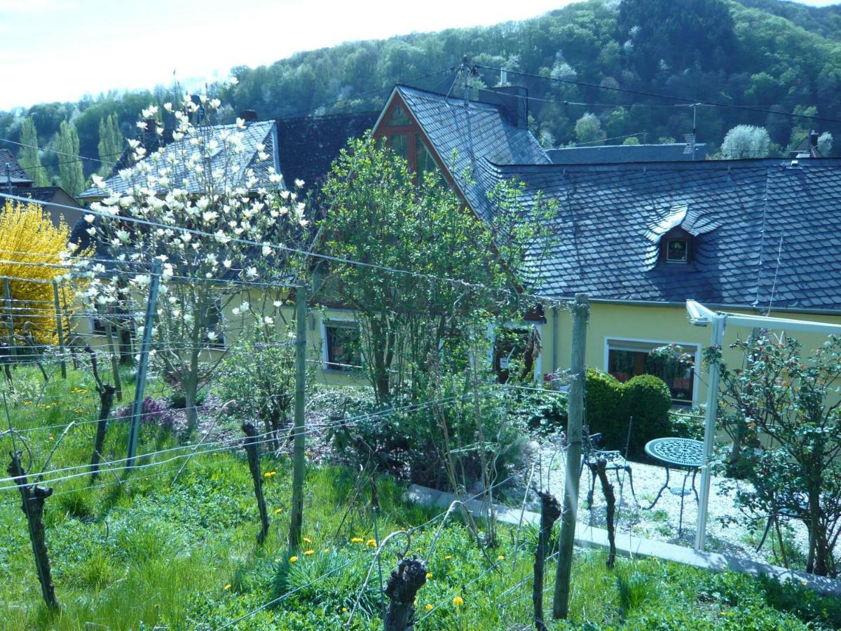 Pension Am Weinberg Mesenich Bagian luar foto